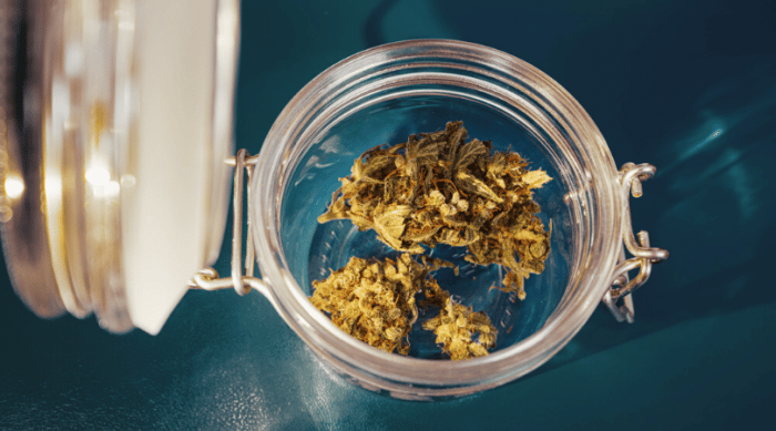 Guide to Drying and Curing Marijuana Buds