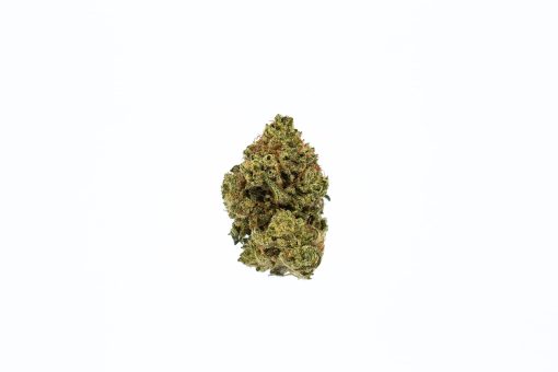 DUTCH TREAT marijuana strain buy online canada