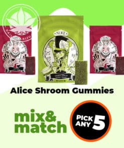 5 Pack Alice Shroom Gummy - Mix and Match
