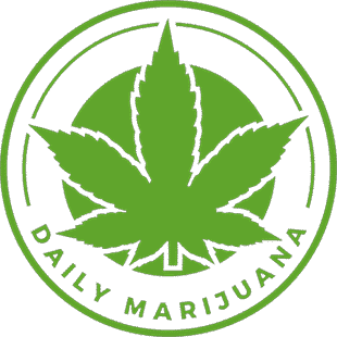 daily marijuana logo