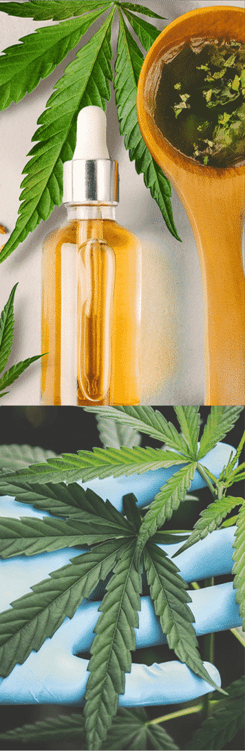 effects of thc oil guide