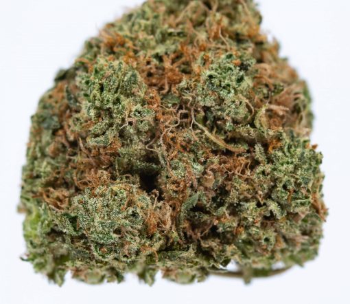 SPACE QUEEN marijuana strain canada buy online