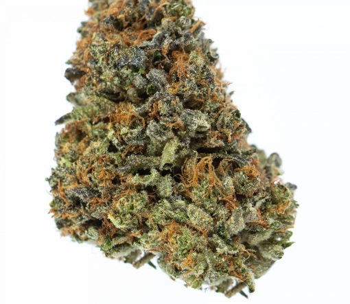 Blueberry Cheesecake marijuana strain buy online canada