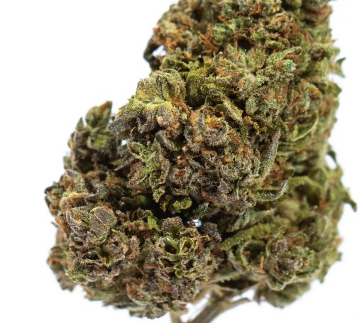 BIG BUD cannabis strain buy online canada