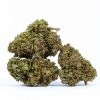 BIG BUD marijuana strain buy online canada