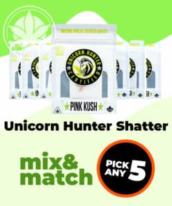 5-Pack Unicorn Hunter Shatter - Mix and Match
