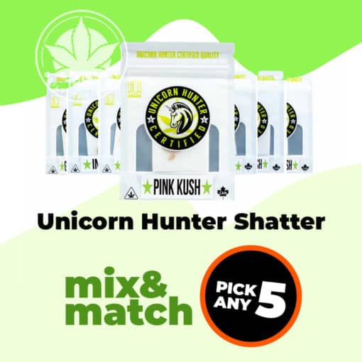 5-Pack Unicorn Hunter Shatter - Mix and Match