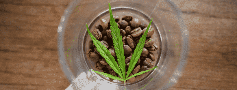 Tips for Making and Using Cannabis Coffee