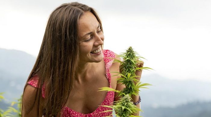 What are the Positive Effects of Marijuana