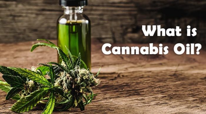 What is Cannabis Oil