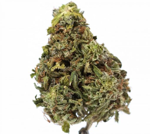 BAKERSTREET marijuana strain buy online canada
