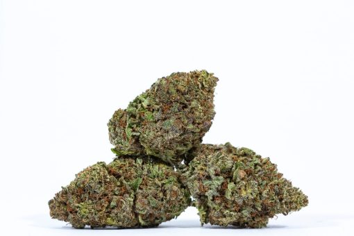 BLUE MAGOO cannabis strain buy online canada