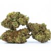 CHEMDAWG cannabis strain buy online canada 