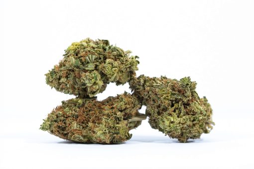 CHEMDAWG cannabis strain buy online canada