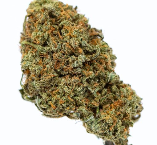 CITRAL GLUE marijuana strain buy online canada