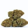 CITRAL GLUE weed strain buy online canada 