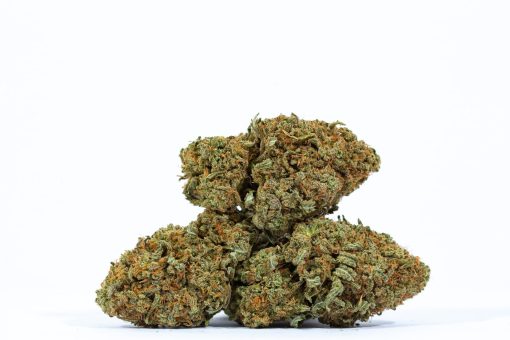 CITRAL GLUE weed strain buy online canada