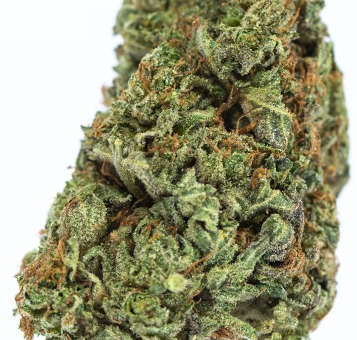 ERDPURT marijuana strain buy online canada