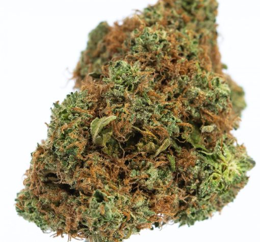 LEMON GRASS marijuana strain buy online canada