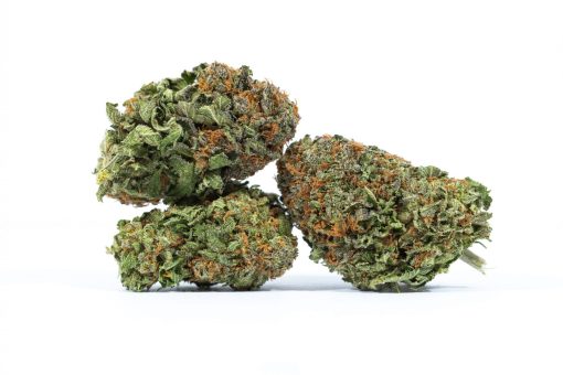 MANDARINE COOKIES marijuana strain canada buy online