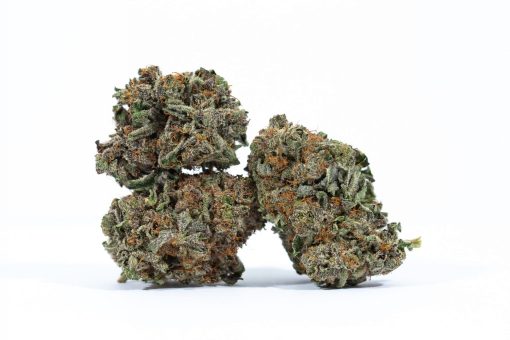 PLAT GSC marijuana strain canada buy online