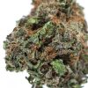 PLAT GSC weed strain canada buy online