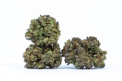 PLUTO cannabis strain buy online canada