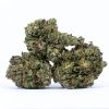 PURPLE CHEMDAWG marijuana strain buy online canada 
