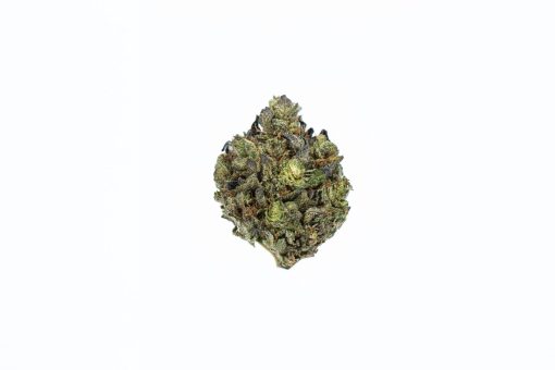 PURPLE POWER marijuana strain buy online canada