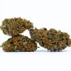 RED CONGO cannabis strain buy online canada 