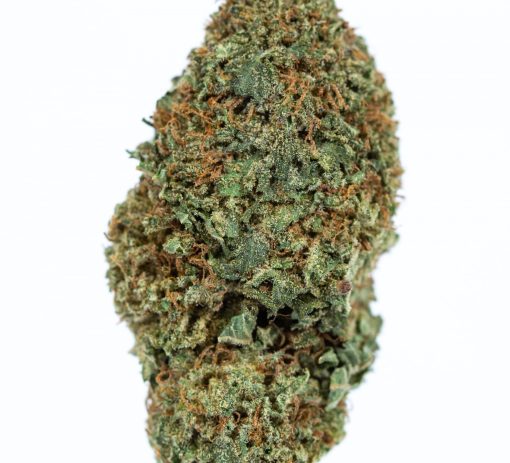 STARFIGHTER marijuana strain buy online canada