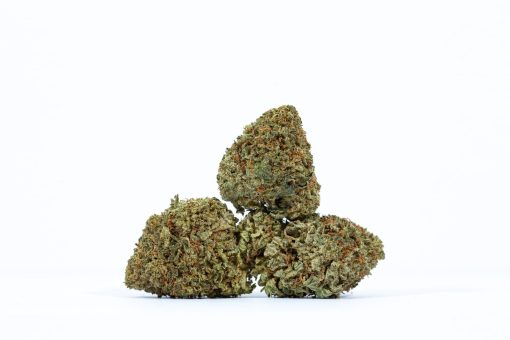 STARFIGHTER weed strain buy online canada