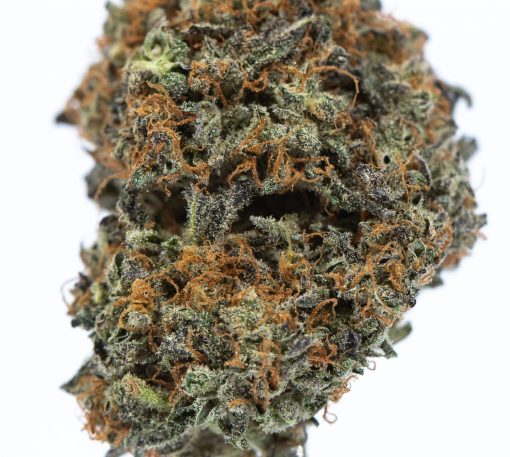 purple og cannabis strain canada buy online