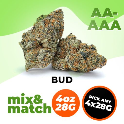 AA+/AAA (112G) – Mix & Match – Pick Any 4