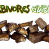Herbivore Chocolates