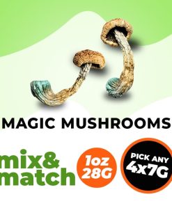 Magic Mushrooms M&M 28g
