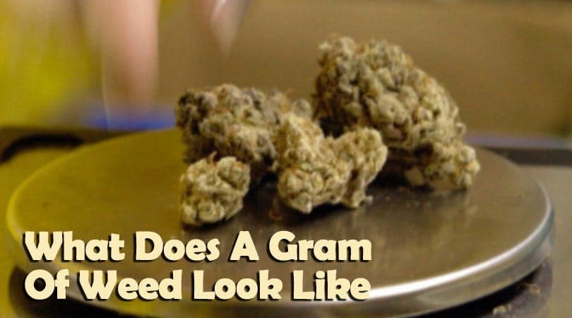 What Does A Gram Of Weed Look Like 8