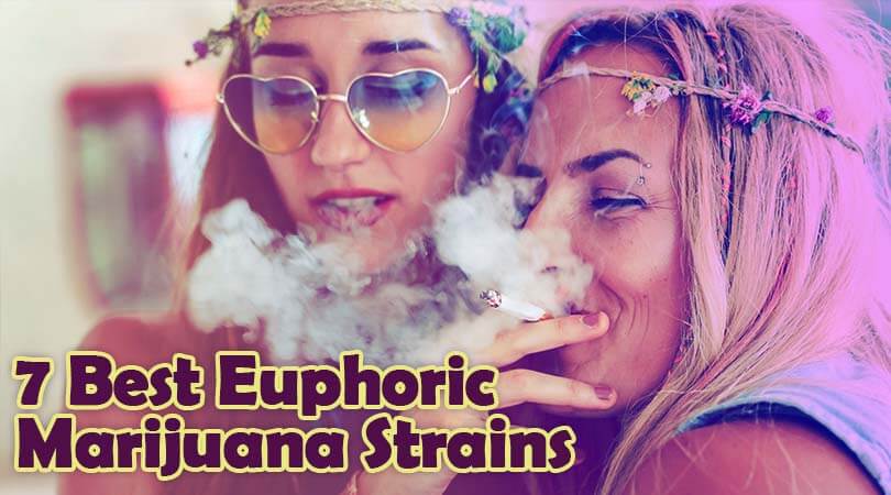 7 Best Euphoric Marijuana Strains