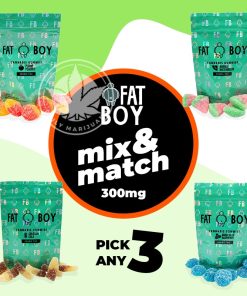 fat boy mix and match