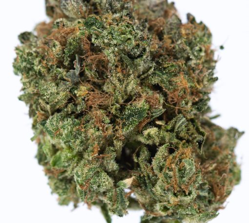 Mr. Nice Strain Weed - Indica Flower Dispensary - Daily Marijuana