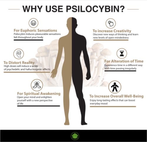 Psilocibin