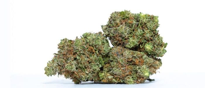  Best Weed Strains For Insomnia