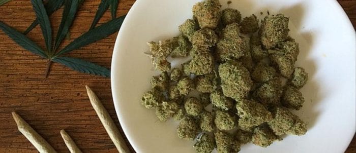 Beginner's Guide to Cannabis Strains