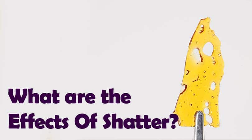 What are the Effects Of Shatter