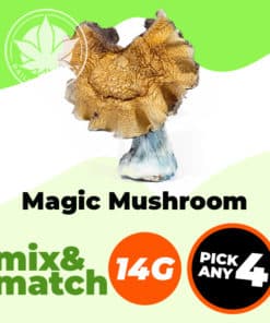 Magic Mushroom (14G) - Mix & Match - Pick Any 4